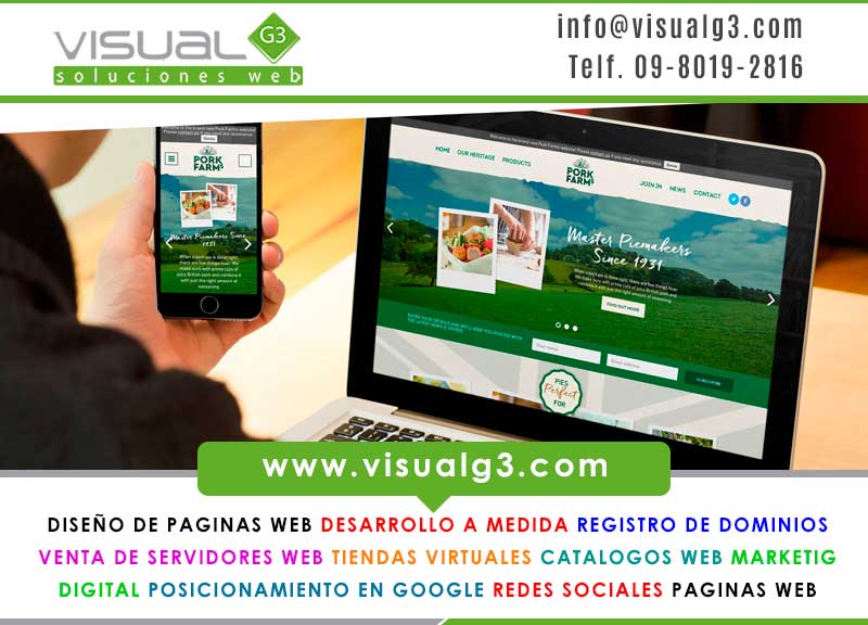 PAGINAS WEB