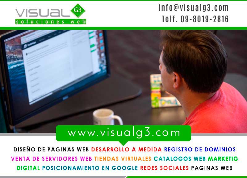 pagina web dominio y hosting