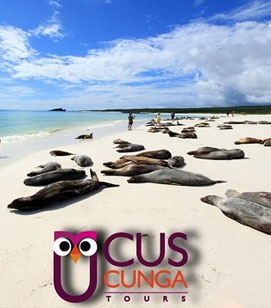 travel to galapagos cuscunga tours travel